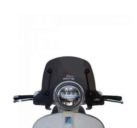 https://images.rms.it/Moto/Accessori-Moto/Parabrezza-e-Cupolini/big/Faco-267008335.png