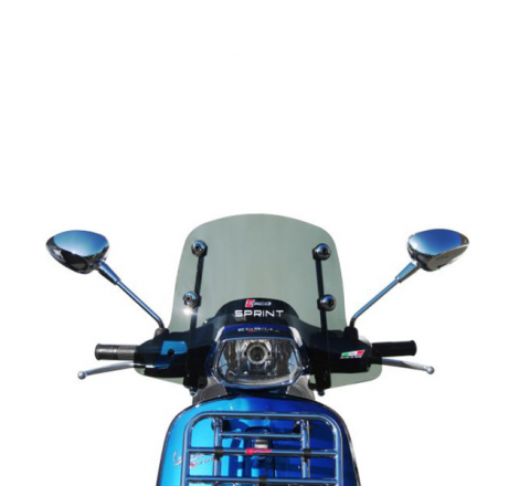 https://images.rms.it/Moto/Accessori-Moto/Parabrezza-e-Cupolini/big/Faco-267008353.png