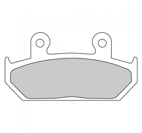 https://images.rms.it/Moto/Impianto-Frenante/Pastiglie-Freno/big/Ferodo-225108686.png