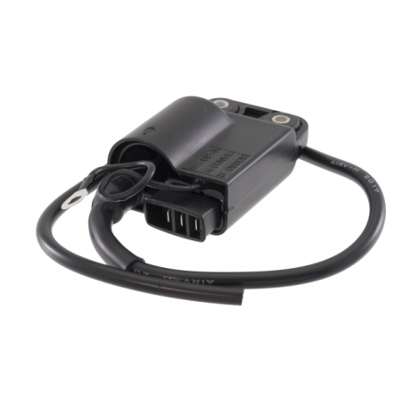 https://images.rms.it/Moto/Impianto-Elettrico/Centraline-e-accessori/big/RMS-246010070.png