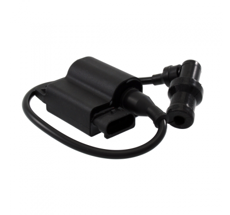 https://images.rms.it/Moto/Impianto-Elettrico/Centraline-e-accessori/big/RMS-246010490.png