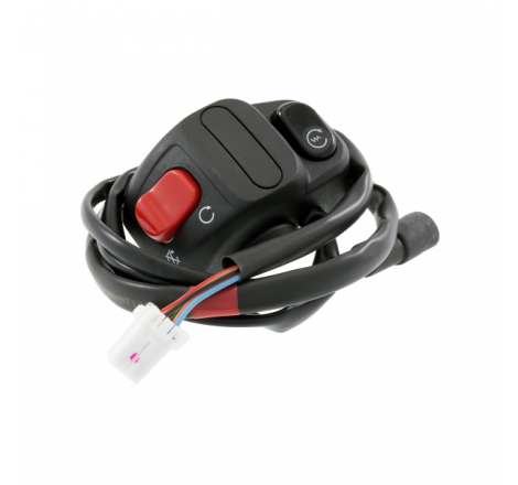https://images.rms.it/Moto/Impianto-Elettrico/Devio-luci/big/Domino-246090310.png