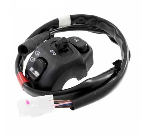 https://images.rms.it/Moto/Impianto-Elettrico/Devio-Frecce/big/Domino-246110110.png