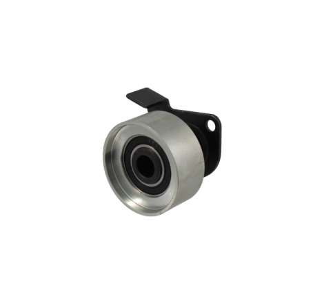 https://images.rms.it/Moto/Motore/Tendicatena/big/RMS-163770250.png