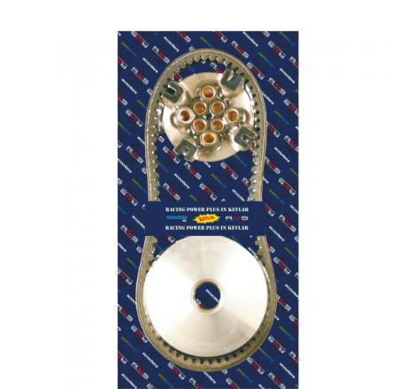 https://images.rms.it/Moto/Trasmissione/Variatori/big/RMS-163810010.png