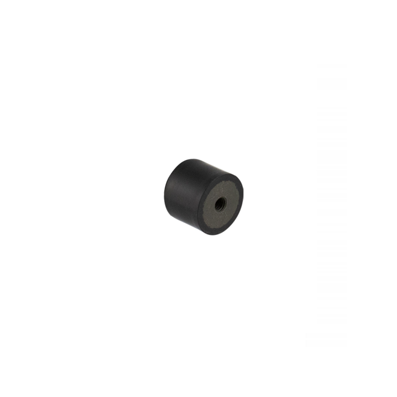 https://images.rms.it/Moto/Motore/Silentblock-Motore/big/RMS-121831010.png