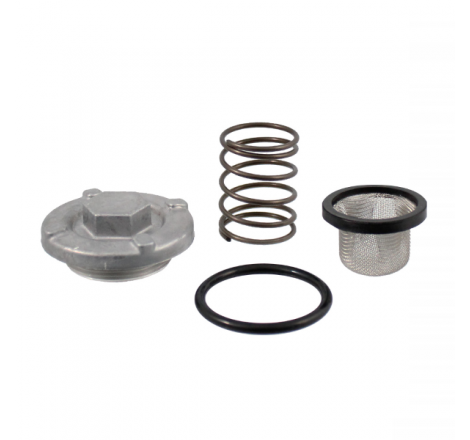 https://images.rms.it/Moto/Motore/Serbatoi-Olio-e-accessori/big/RMS-121856160.png