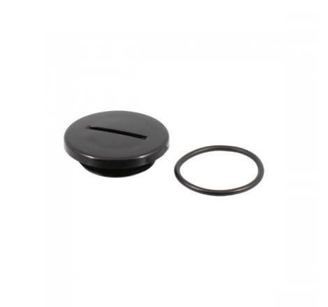 https://images.rms.it/Moto/Motore/Serbatoi-Olio-e-accessori/big/RMS-121856190.png