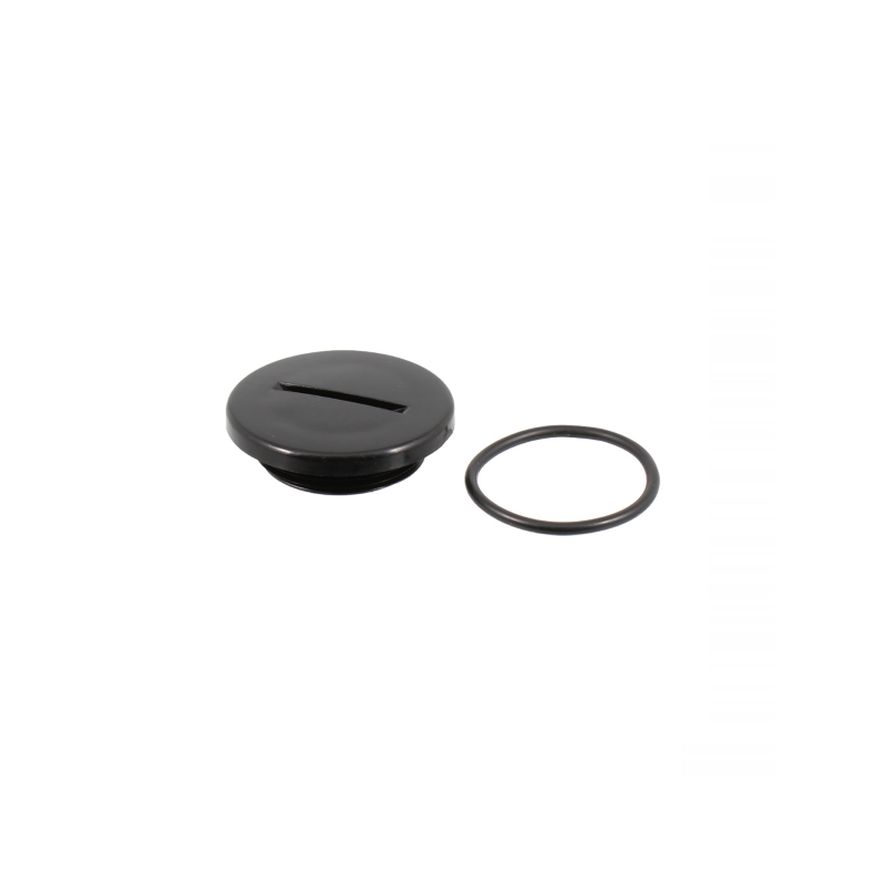 https://images.rms.it/Moto/Motore/Serbatoi-Olio-e-accessori/big/RMS-121856190.png