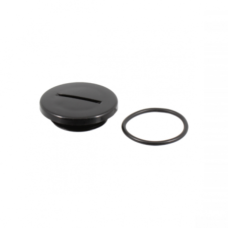 https://images.rms.it/Moto/Motore/Serbatoi-Olio-e-accessori/big/RMS-121856190.png
