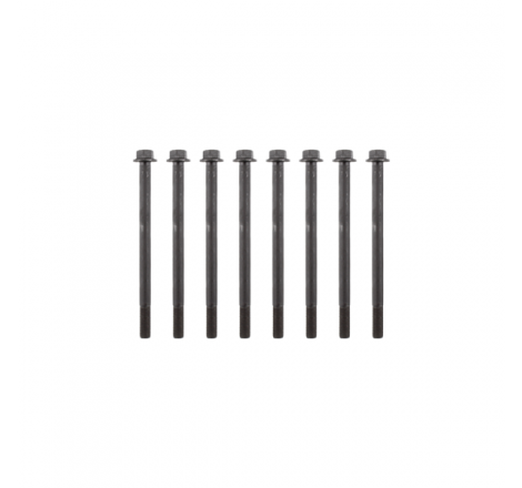 https://images.rms.it/Moto/Motore/Prigionieri-Motore/big/RMS-121860510.png