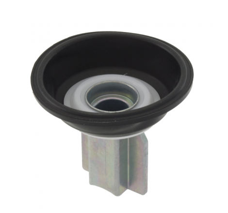 https://images.rms.it/Moto/Alimentazione/Membrane-Carburatore/big/RMS-121661200.png