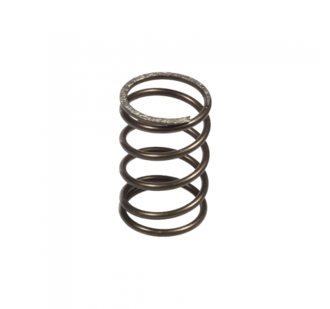 https://images.rms.it/Moto/Trasmissione/Molle-Frizione/big/Ferodo-100288321.png