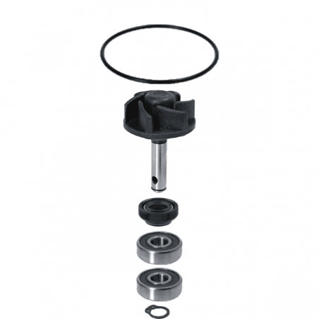 https://images.rms.it/Moto/Motore/Kit-Revisione-Pompa-Acqua/big/RMS-100110010.png