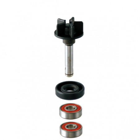 https://images.rms.it/Moto/Motore/Kit-Revisione-Pompa-Acqua/big/RMS-100110150.png