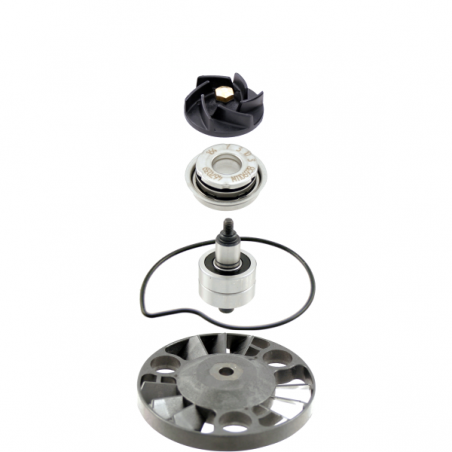 https://images.rms.it/Moto/Motore/Kit-Revisione-Pompa-Acqua/big/RMS-100110230.png