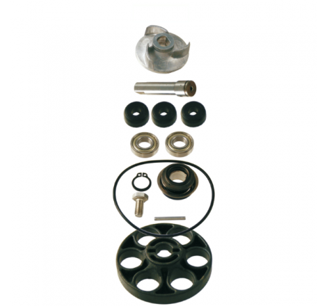 https://images.rms.it/Moto/Motore/Kit-Revisione-Pompa-Acqua/big/RMS-100110160.png