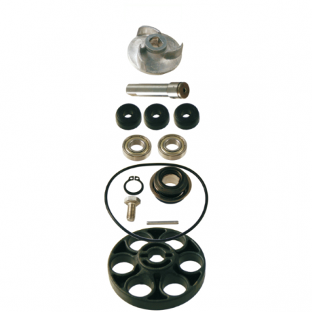 https://images.rms.it/Moto/Motore/Kit-Revisione-Pompa-Acqua/big/RMS-100110160.png