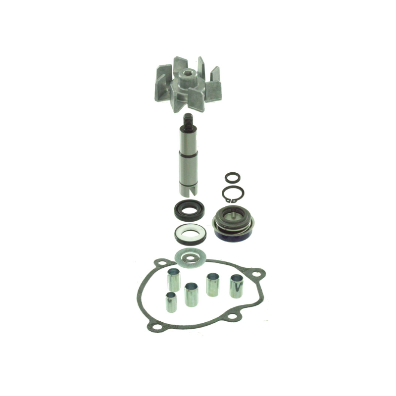 https://images.rms.it/Moto/Motore/Kit-Revisione-Pompa-Acqua/big/RMS-100110500.png