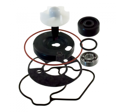 https://images.rms.it/Moto/Motore/Kit-Revisione-Pompa-Acqua/big/RMS-100110540.png