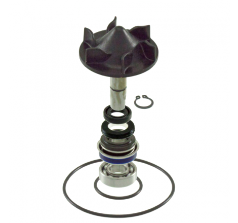https://images.rms.it/Moto/Motore/Kit-Revisione-Pompa-Acqua/big/RMS-100110420.png