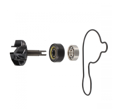 https://images.rms.it/Moto/Motore/Kit-Revisione-Pompa-Acqua/big/RMS-100110720.png