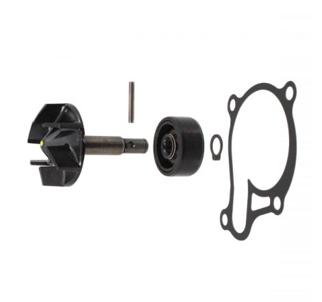 https://images.rms.it/Moto/Motore/Kit-Revisione-Pompa-Acqua/big/RMS-100110730.png