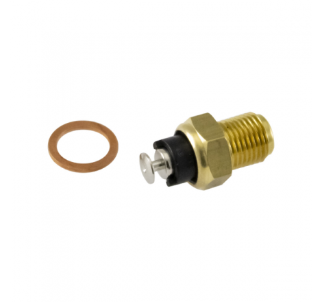 https://images.rms.it/Moto/Impianto-Elettrico/Sensori-e-Termostati/big/RMS-100120350.png