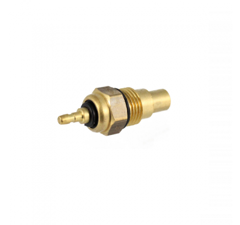 https://images.rms.it/Moto/Impianto-Elettrico/Sensori-e-Termostati/big/RMS-100120520.png