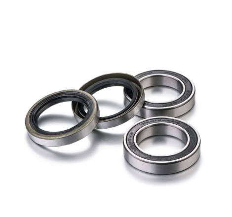 https://images.rms.it/Moto/Cuscinetti/Kit-cuscinetti-ruota/big/Factory-Links-100203000.png