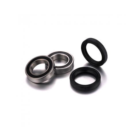 https://images.rms.it/Moto/Cuscinetti/Kit-cuscinetti-ruota/big/Factory-Links-100203005.png