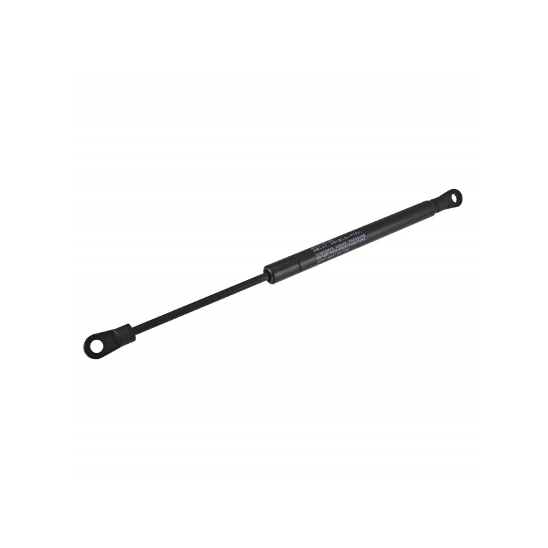 https://images.rms.it/Moto/Telaio/Molle-a-Gas/big/Stabilus-121870330.png