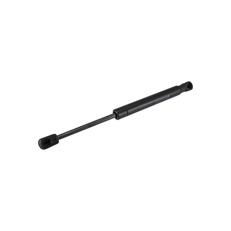 https://images.rms.it/Moto/Telaio/Molle-a-Gas/big/Stabilus-121870370.png
