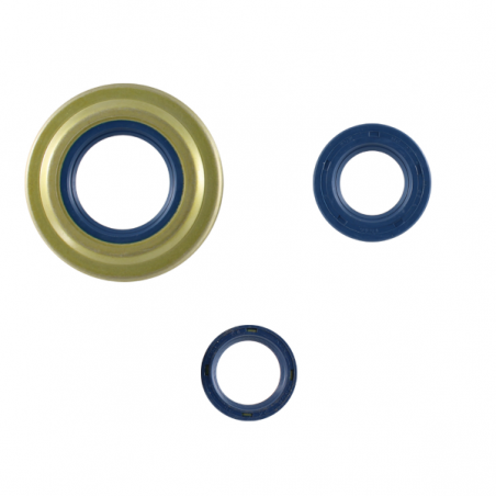 https://images.rms.it/Moto/Tenuta/Paraoli/big/Rms-Classic-100640270.png