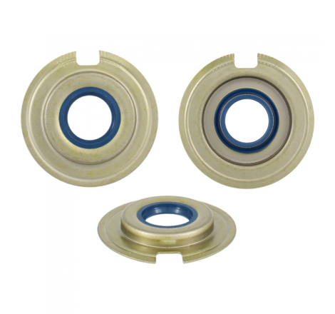 https://images.rms.it/Moto/Tenuta/Paraoli/big/Corteco-100662375.png