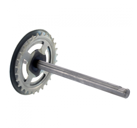 https://images.rms.it/Moto/Telaio/Accessori-pedali/big/Rms-Classic-121530300.png