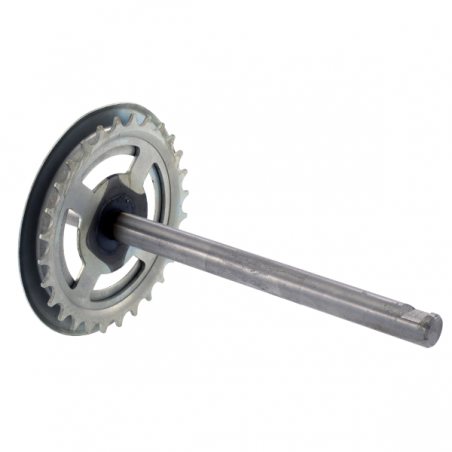 https://images.rms.it/Moto/Telaio/Accessori-pedali/big/Rms-Classic-121530300.png