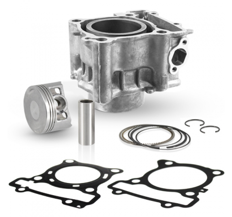 https://images.rms.it/Moto/Motore/Cilindri/big/Evok-100081290.png