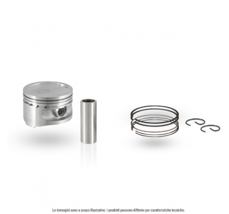 https://images.rms.it/Moto/Motore/Pistoni/big/Evok-100091230.png