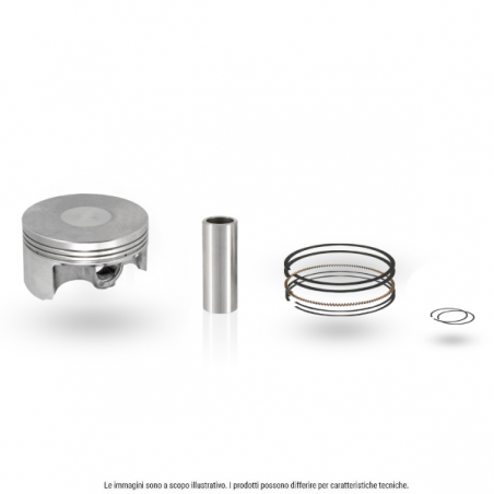https://images.rms.it/Moto/Motore/Pistoni/big/Evok-100091290.png