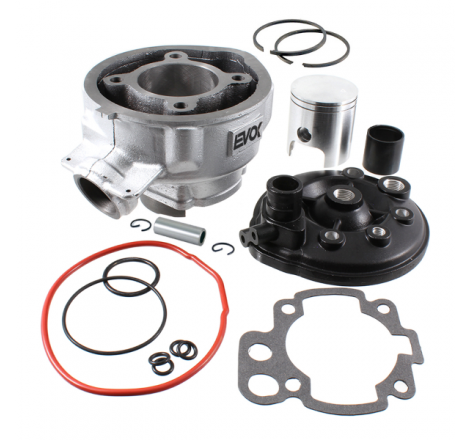 https://images.rms.it/Moto/Motore/Cilindri/big/Evok-100081330.png