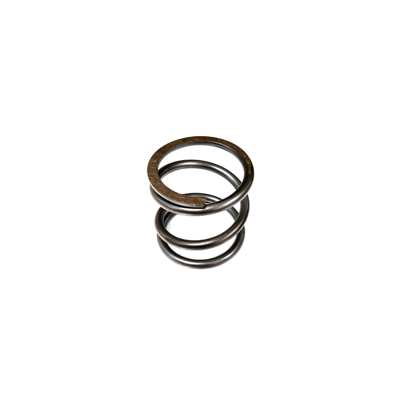 https://images.rms.it/Moto/Trasmissione/Molle-Frizione/big/Evok-100220023.png