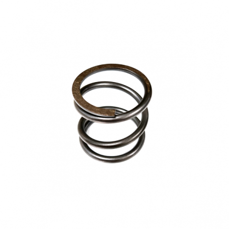 https://images.rms.it/Moto/Trasmissione/Molle-Frizione/big/Evok-100220023.png