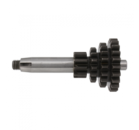 https://images.rms.it/Moto/Trasmissione/Cambio-e-accessori/big/Rms-Classic-100240122.png