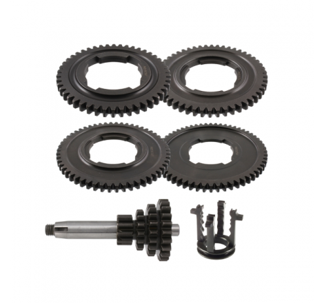 https://images.rms.it/Moto/Trasmissione/Cambio-e-accessori/big/Rms-Classic-100240128.png