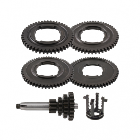 https://images.rms.it/Moto/Trasmissione/Cambio-e-accessori/big/Rms-Classic-100240128.png
