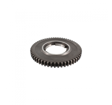 https://images.rms.it/Moto/Trasmissione/Cambio-e-accessori/big/Rms-Classic-100240253.png