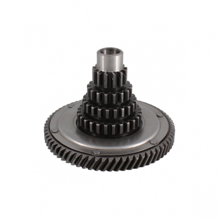 https://images.rms.it/Moto/Trasmissione/Cambio-e-accessori/big/Rms-Classic-100240313.png