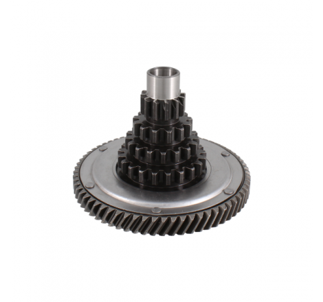 https://images.rms.it/Moto/Trasmissione/Cambio-e-accessori/big/Rms-Classic-100240333.png