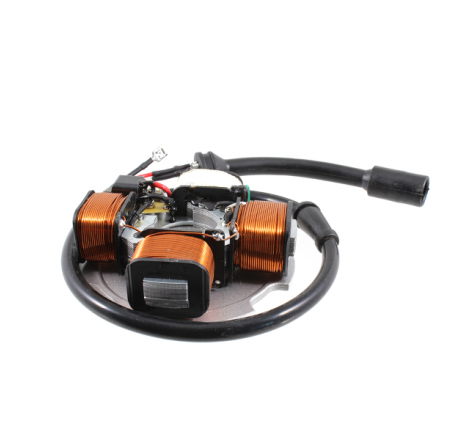 https://images.rms.it/Moto/Impianto-Elettrico/Statori/big/Rms-Classic-246350015.png